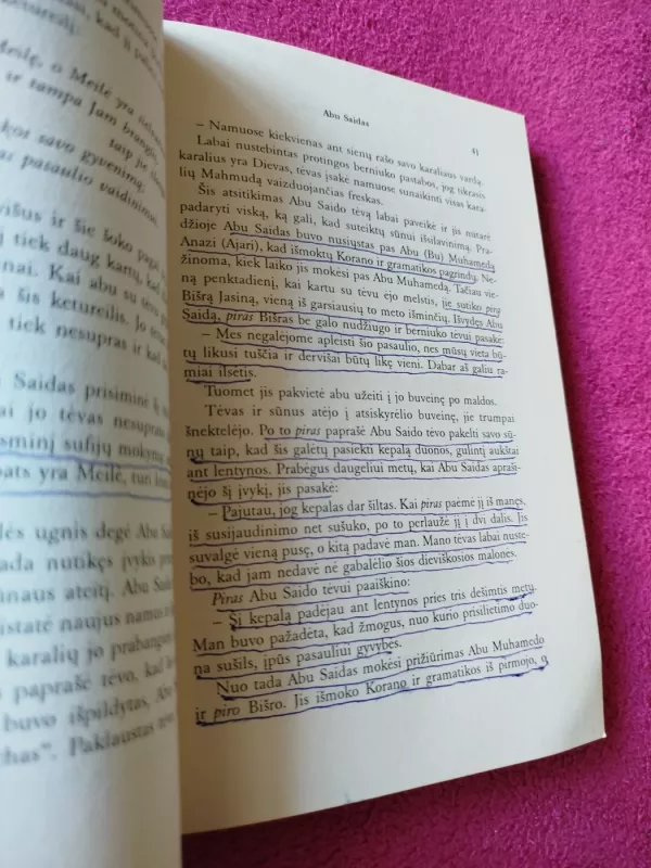 Sufijų šalies pasakojimai - Mojdeh Bayat, Mohammad Ali  Jamnia, knyga 4