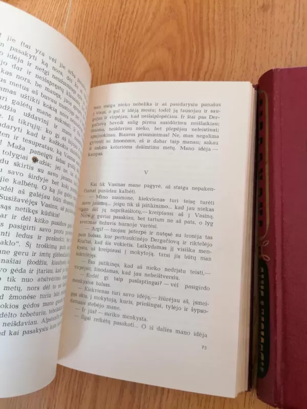 Jaunuolis (2 tomai) - Fiodoras Dostojevskis, knyga 5