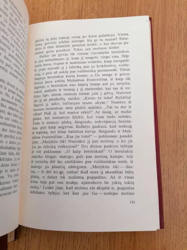 Jaunuolis (2 tomai) - Fiodoras Dostojevskis, knyga 6