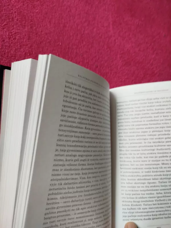 Sociologija ir kultūros filosofija - Georg Simmel, knyga 4