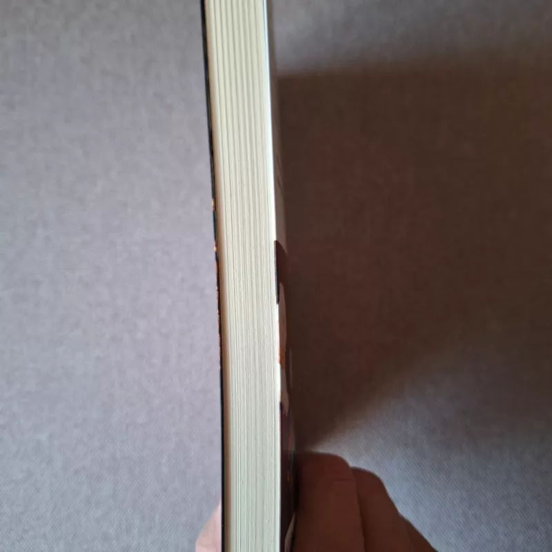 Kai aš buvau malalietka - Virginija Kulvinskaitė, knyga 4