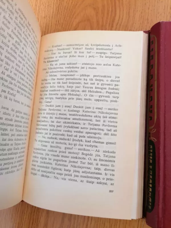 Jaunuolis (2 tomai) - Fiodoras Dostojevskis, knyga 4