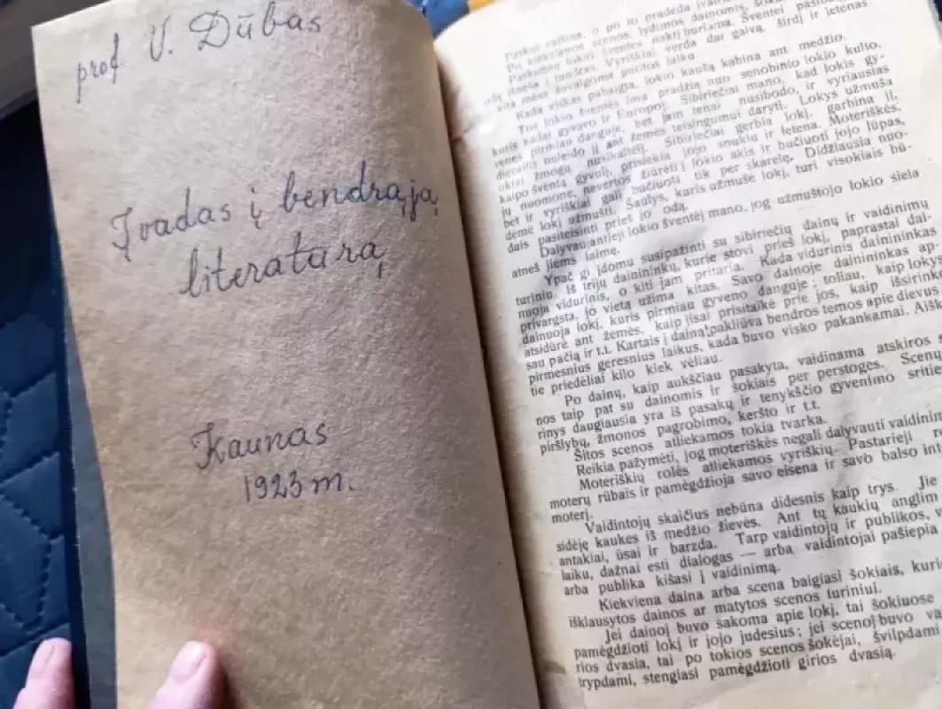 Įvadas į bendrąją literatūrą - Vladas Dubas, knyga 2