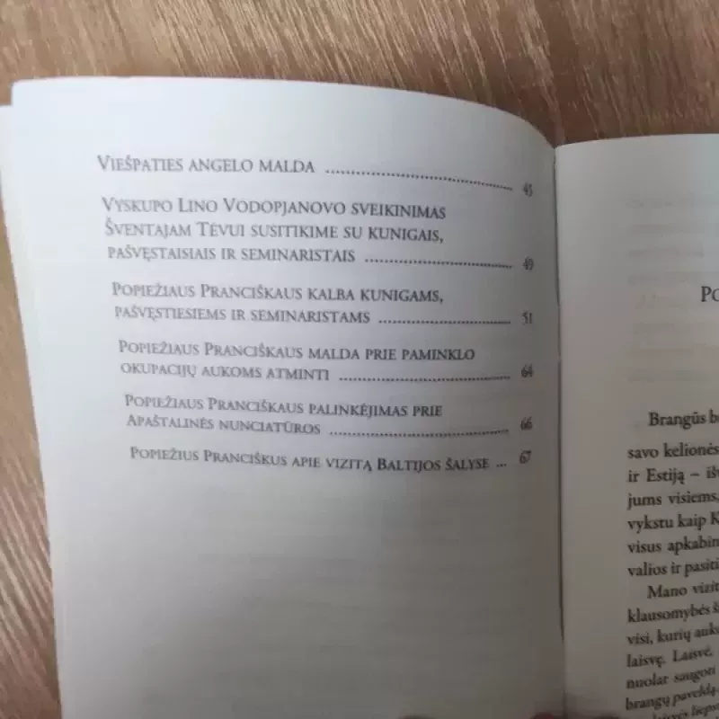 Popiežiaus Pranciškaus vizitas Lietuvoje: kalbos, 2018 m. rugsėjo 22-23 d. - Popiežius Pranciškus , knyga 3