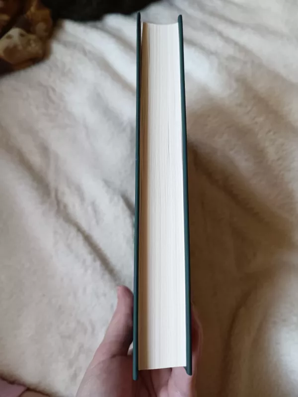 Dvasių užkalbėtoja - Sarah Penner, knyga 4