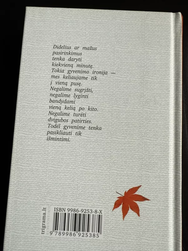 365 DAO Įžvalgos kasdienai - Deng Ming-Dao, knyga 3