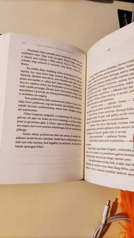 Šeštasis langas - Rachel Abbott, knyga 4