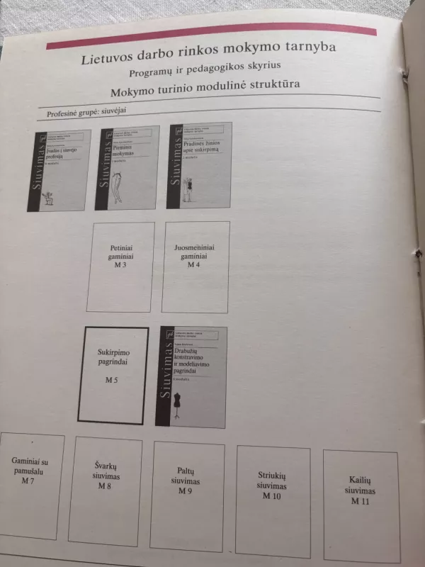 Sukirpimo pagrindai. 5 modulis. - Lijana Kinderienė, knyga 5