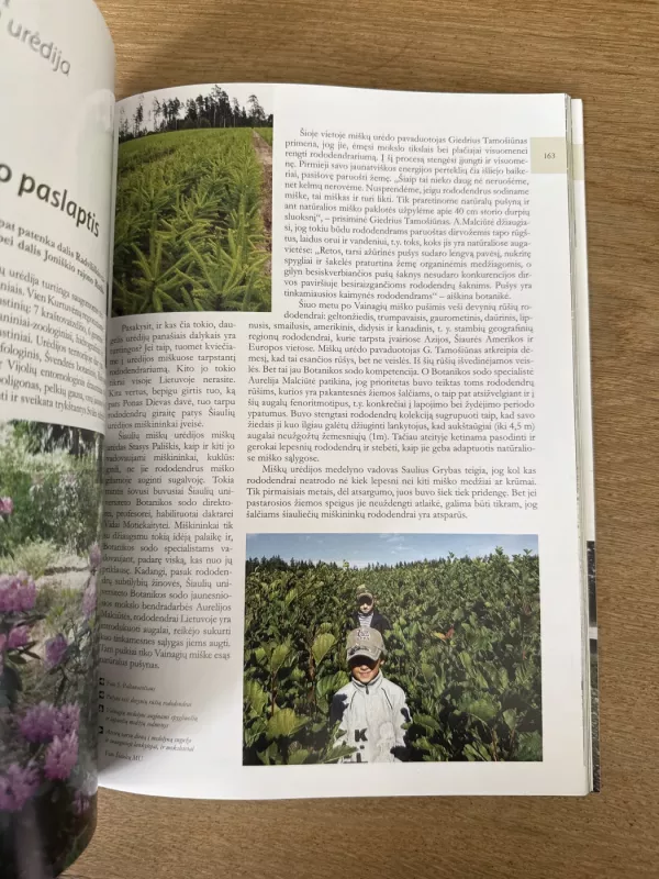 Miškas ir mes - Irena Šalkauskienė, knyga 6