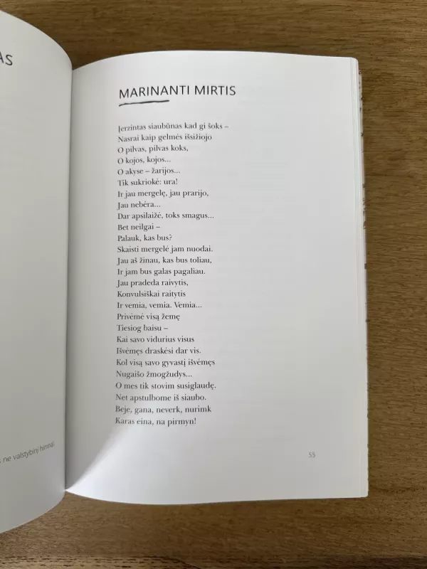 Myliu, mylėjau ir mylėsiu - Napoleonas Norkūnas, knyga 4