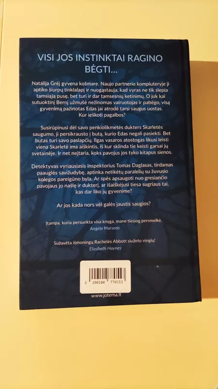 Šeštasis langas - Rachel Abbott, knyga 3