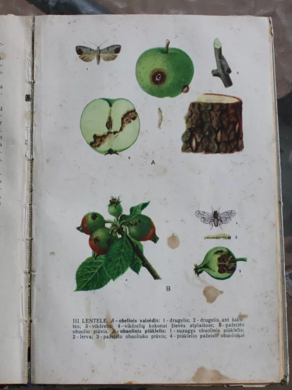 Vadovas kovai prieš sodų ligas ir kenkėjus - Autorių Kolektyvas, knyga 4