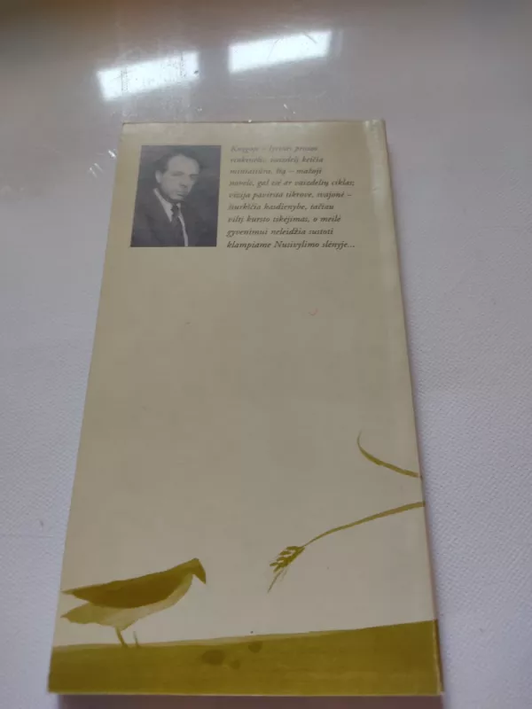 Kraitė - Vytautas Mizeras, knyga 6