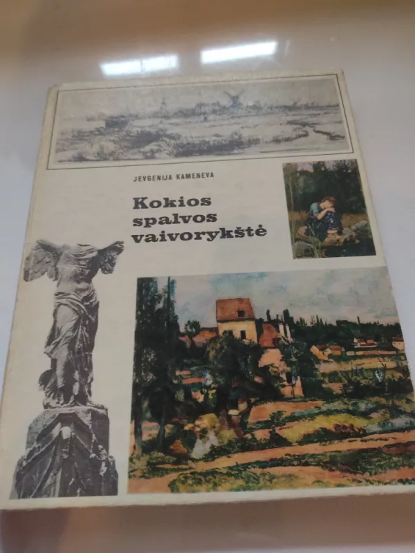 Kokios spalvos vaivorykštė - Jevgenija Kameneva, knyga 2