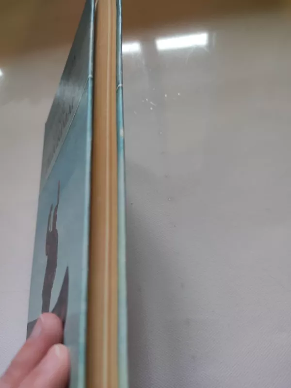 Girių Piligrimai - Pilkoji Pelėda , knyga 6