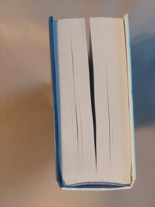 Vietoj dienoraščio. 1970-1975 - Juozas Baltušis, knyga 3