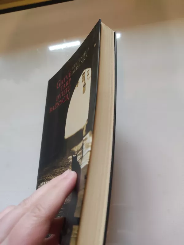 Gatvė tarp dviejų bažnyčių - Eugenijus Ališanka, knyga 6