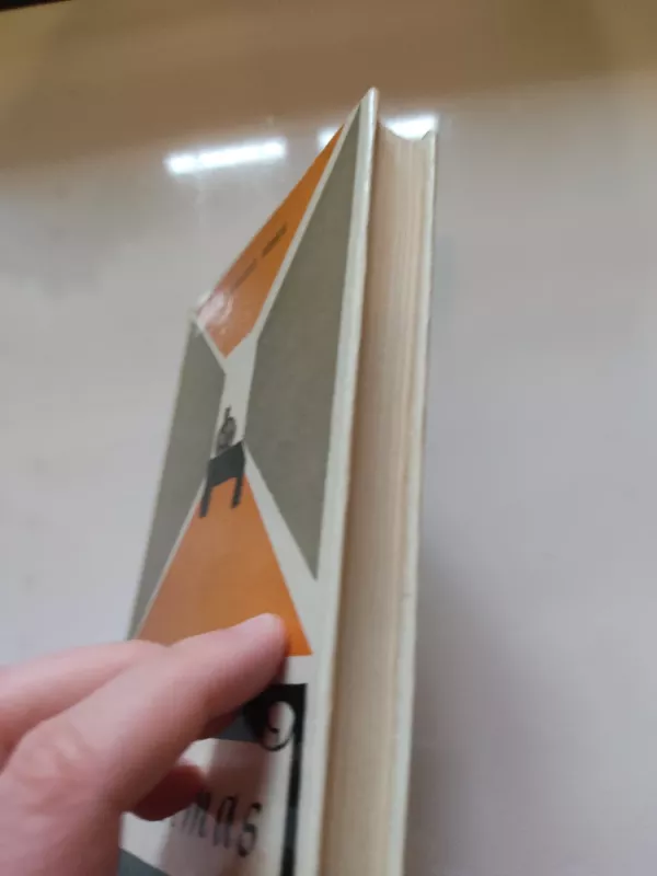 Kvietimas - Vytautas Bubnys, knyga 5