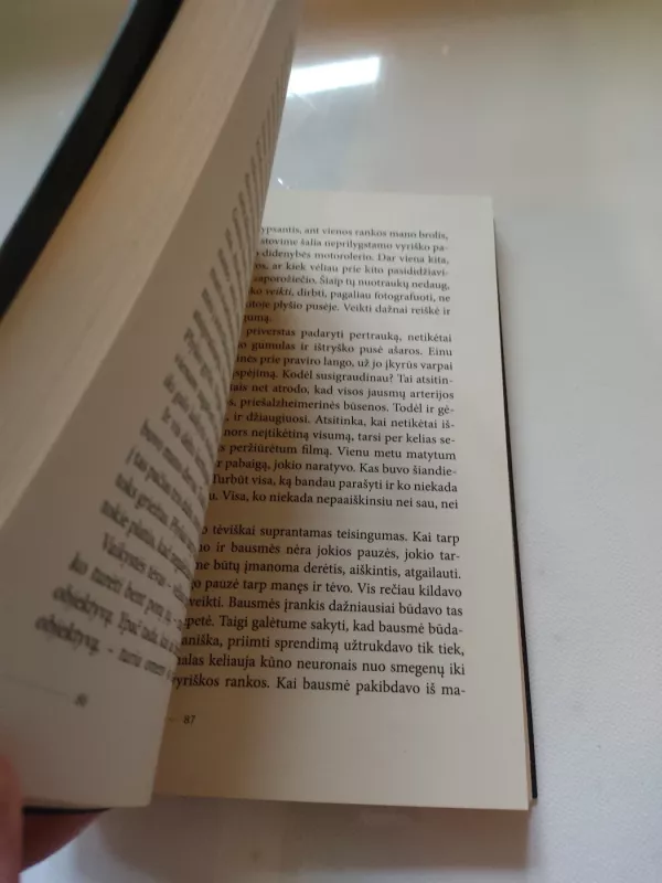 Gatvė tarp dviejų bažnyčių - Eugenijus Ališanka, knyga 4