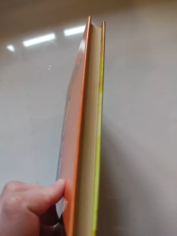 Gyveno kartą Lukošiukas - Vytautas Račickas, knyga 5