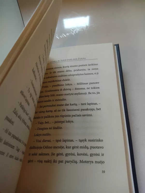 Odas ir šerkšno milžinai - Neil Gaiman, knyga 4