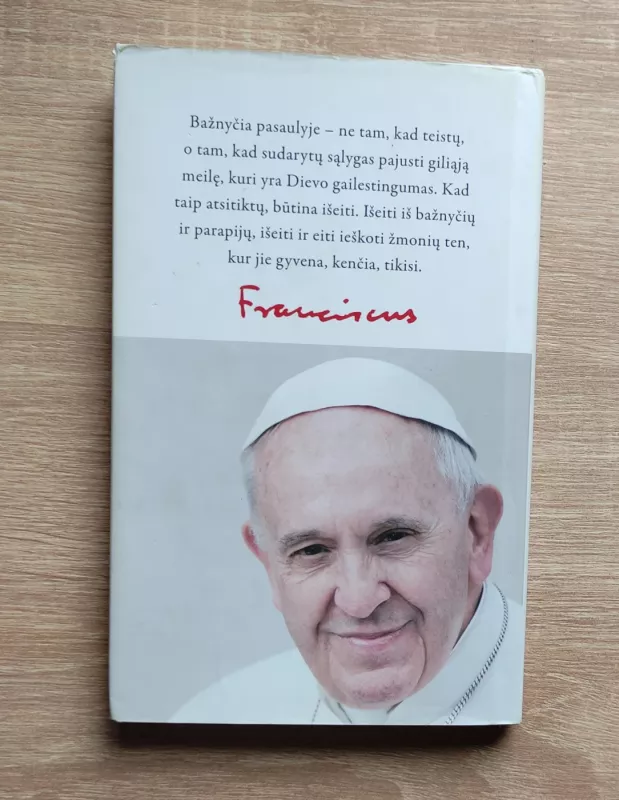 Dievo vardas - Gailestingumas - Pranciškus Popiežius, knyga 4