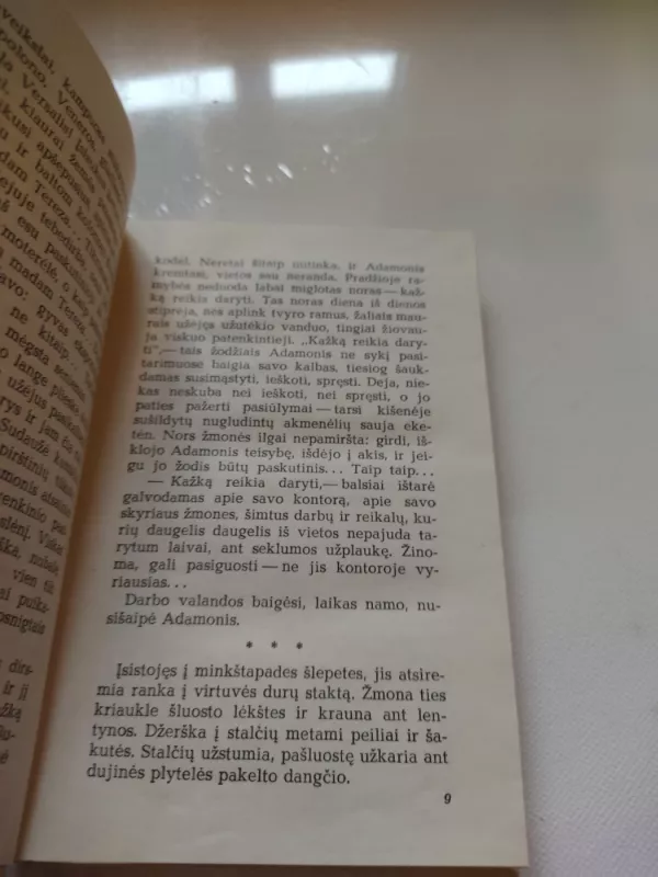 Kvietimas - Vytautas Bubnys, knyga 4