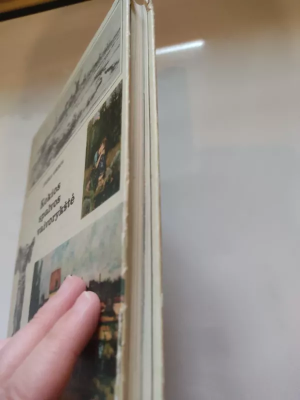 Kokios spalvos vaivorykštė - Jevgenija Kameneva, knyga 6