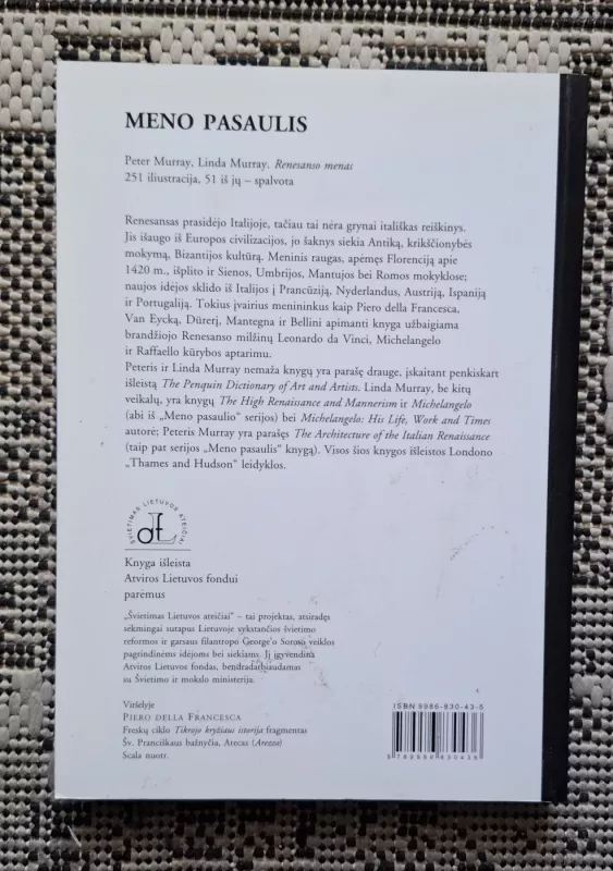 Renesanso menas - Martine Murray, knyga 3