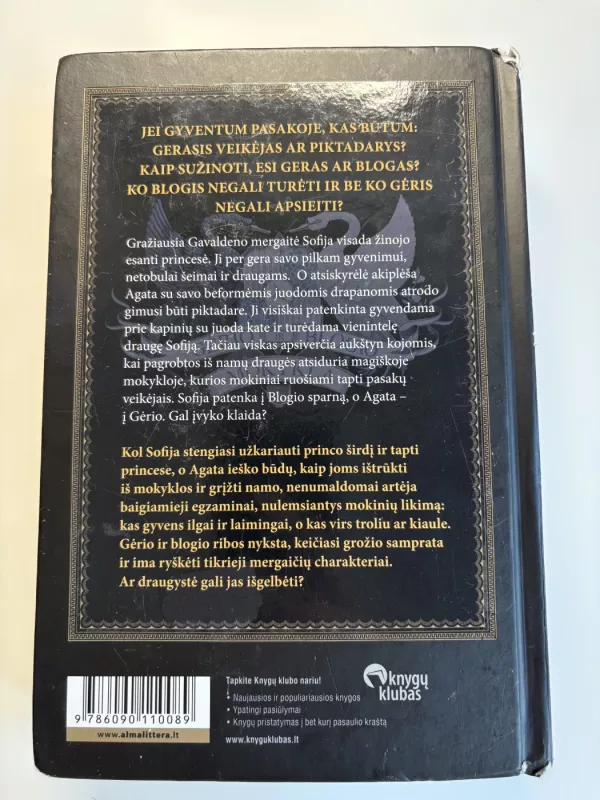 Gėrio ir blogio mokykla - Soman Chainani, knyga 3