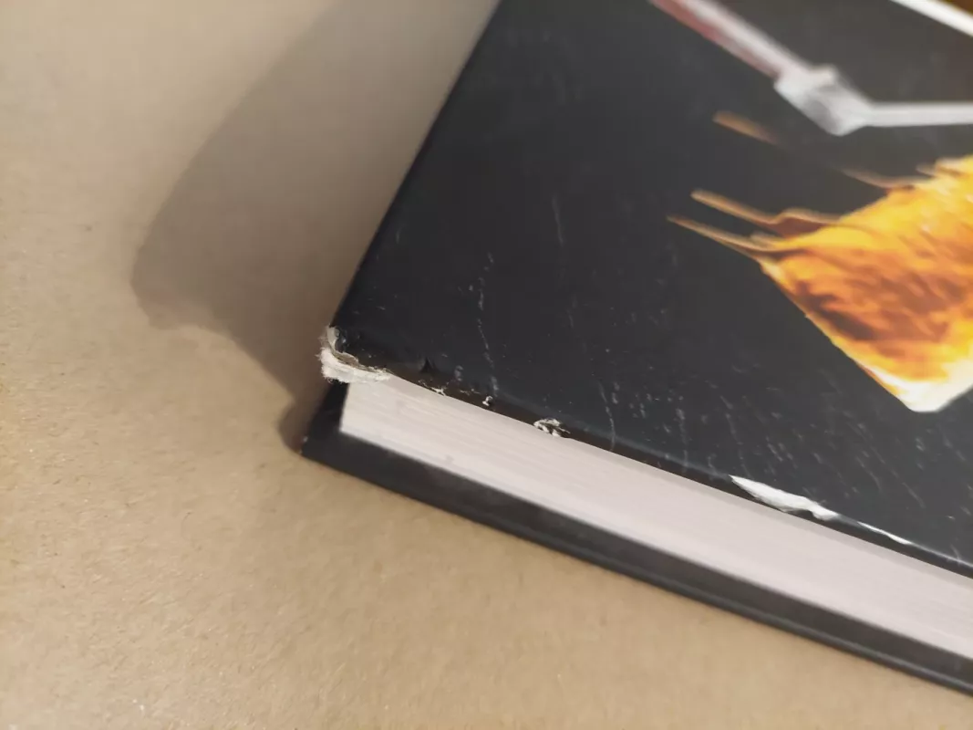 Statybų vadovas. Vidaus apdaila - Ramunė Žurauskienė, knyga 3