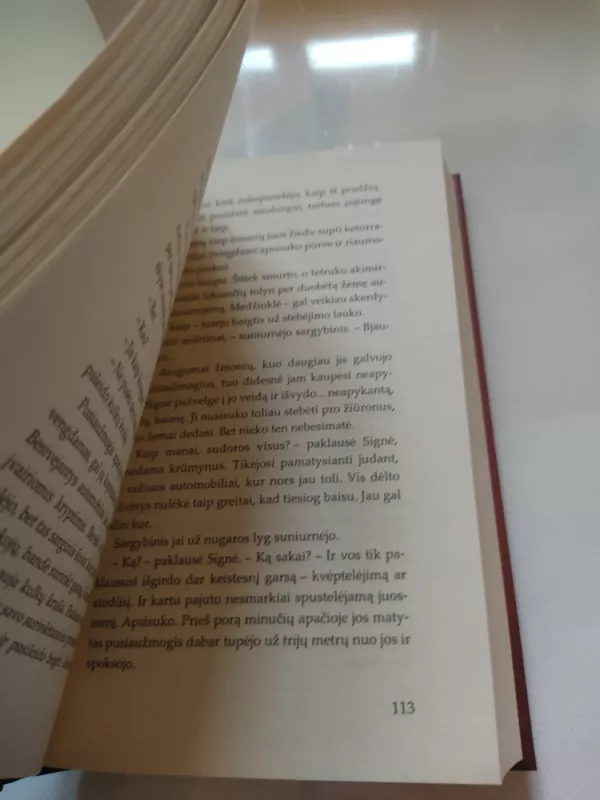 Kraujo tvynis - Melvin Burgess, knyga 4