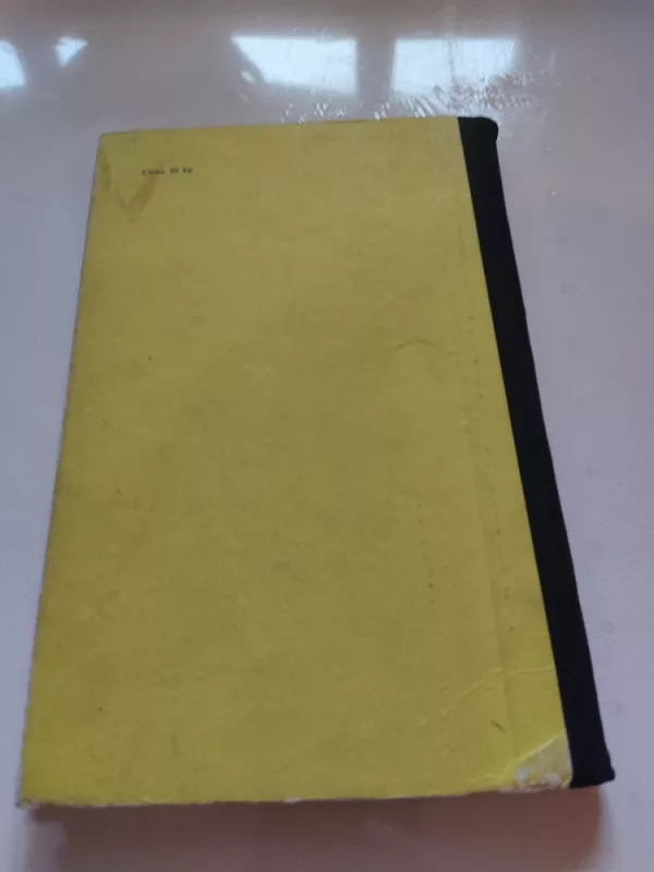 Nemirtingumo lygtis - Vytautas Norbutas, knyga 5