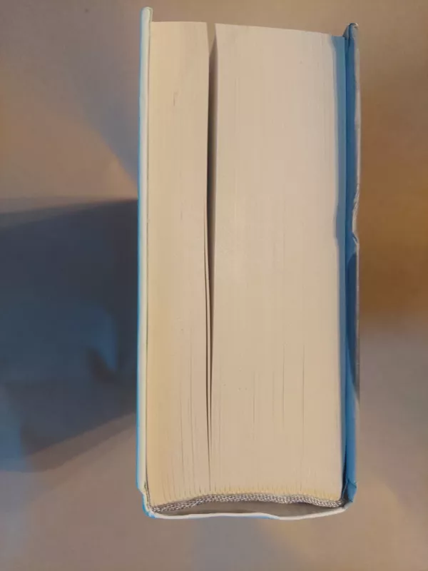 Vietoj dienoraščio. 1970-1975 - Juozas Baltušis, knyga 4