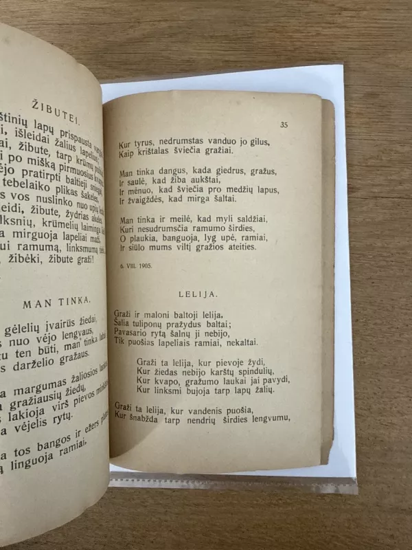 Parinktosios eilės - Autorių Kolektyvas, knyga 6