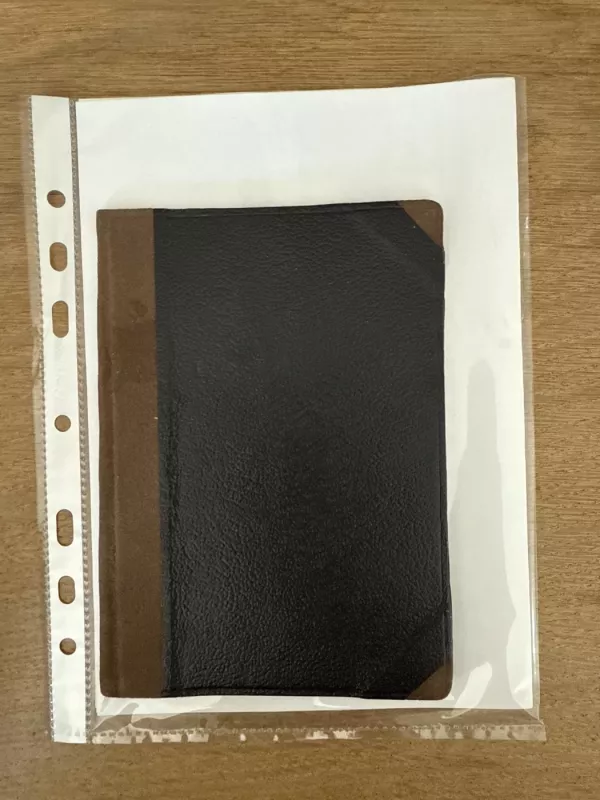 Spaudos draudimo gadynė - P. Ruseckas, knyga 3