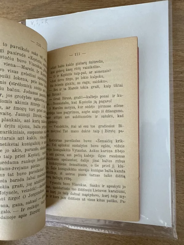 Vincas Stonis 1906 - Šatrijos Ragana, knyga 6