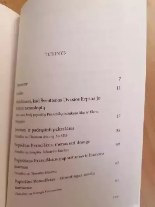 Kitoks Pranciškus - Deborah Castellano Lubov, knyga 3