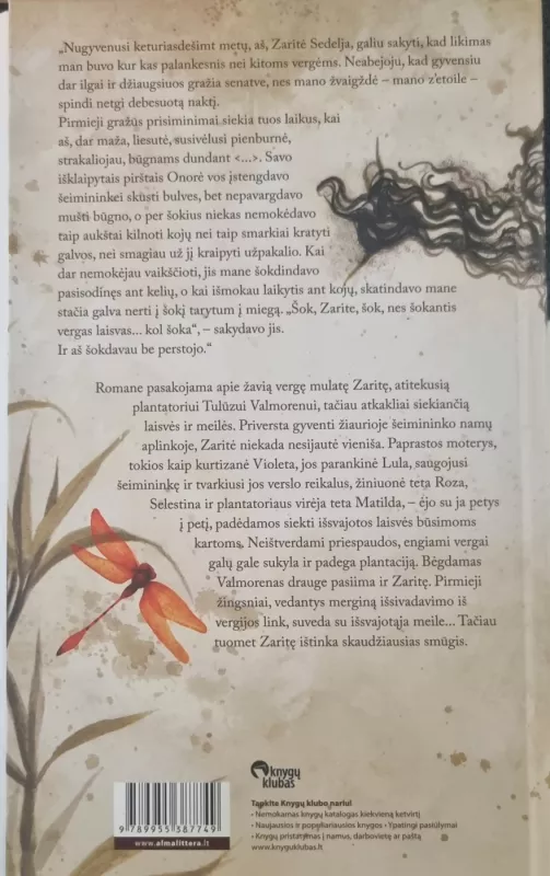 Sala po vandenynu - Isabel Allende, knyga 3