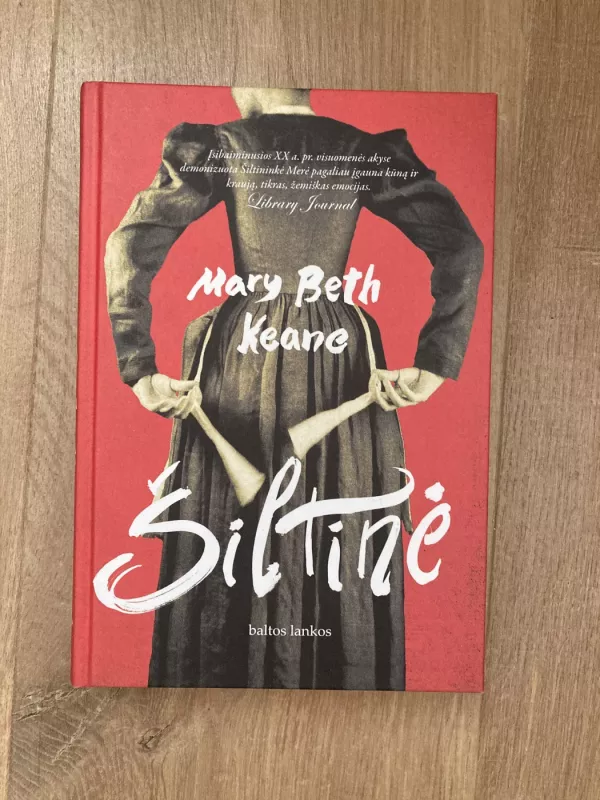 Šiltinė - Mary Beth Keane, knyga 2