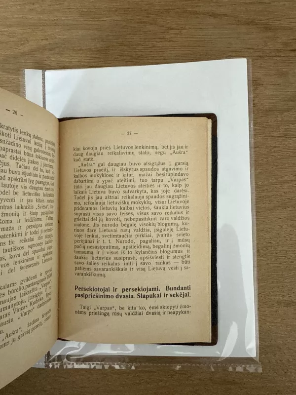 Spaudos draudimo gadynė - P. Ruseckas, knyga 5