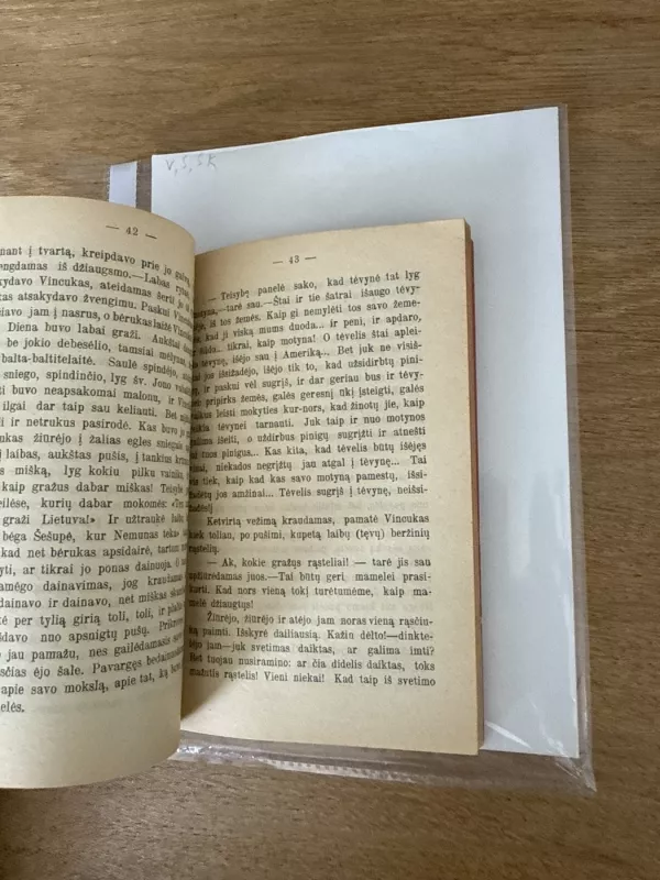 Vincas Stonis 1906 - Šatrijos Ragana, knyga 4