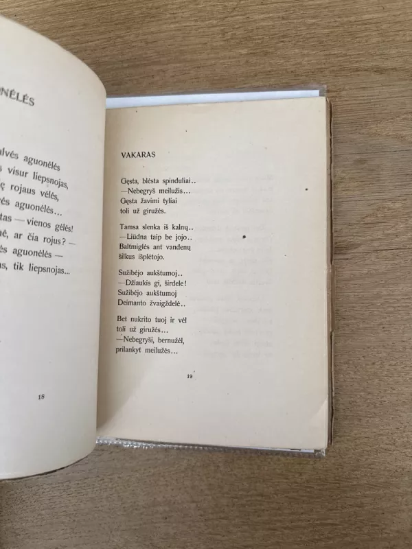 Eilėraščiai. Kazys Binkis 1920 m. - Kazys Binkis, knyga 5