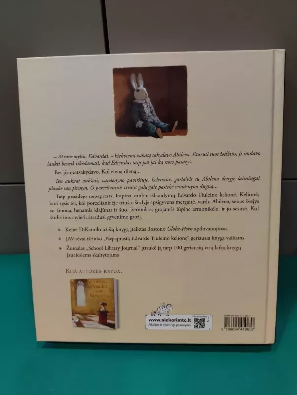 Nepaprasta Edvardo Tiuleino kelionė - Kate DiCamillo, knyga 3