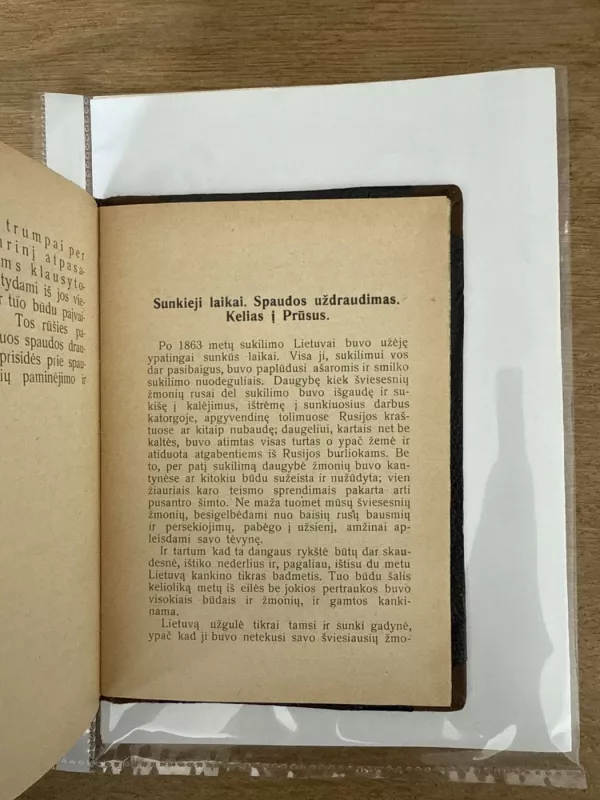 Spaudos draudimo gadynė - P. Ruseckas, knyga 4