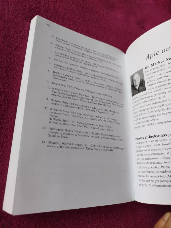 Susitelkimas į sprendimus - Mark McKergow, knyga 4