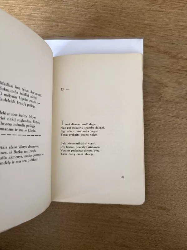 Keturi miestai - Antanas Miškinis, knyga 4