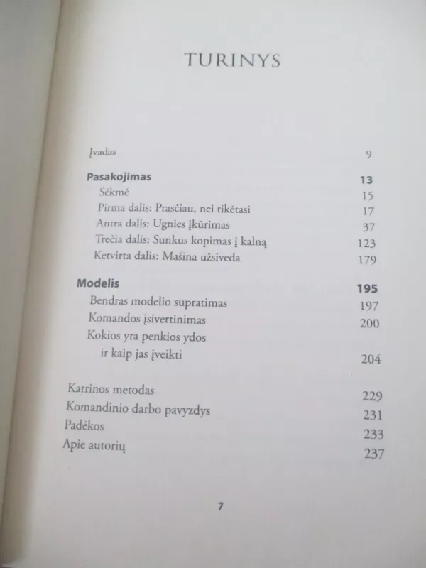Svajonių komandos kūrimas: penkios komandos silpnybės ir būdai, kaip tai įveikti - Patrick Lencioni, knyga 6