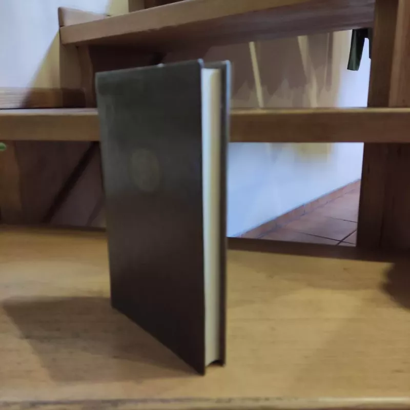 Silvestro Bonaro nusikaltimas. Dievai trokšta - Anatolis Fransas, knyga 5