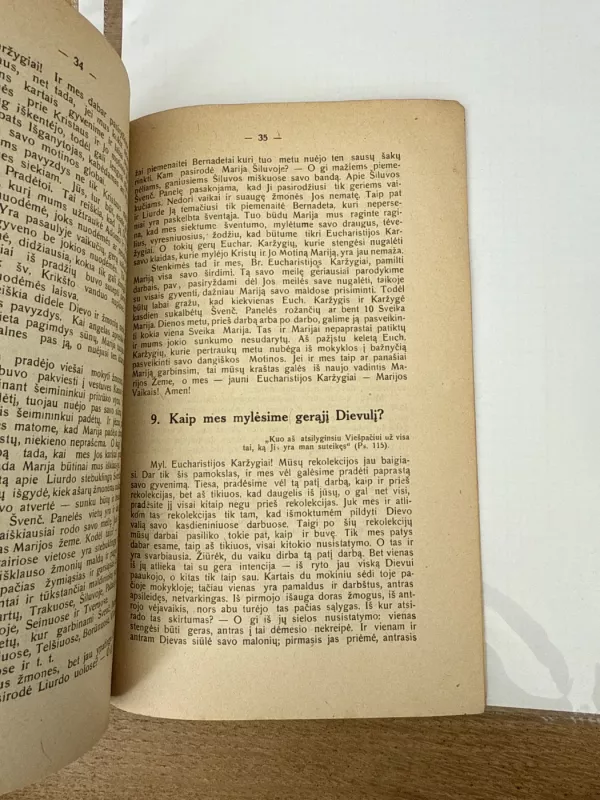 Eucharistijos karžygių rekolekcijos namie ir lauke - Br. Krištanavičius, knyga 6
